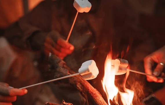Bonfire and Sβmores