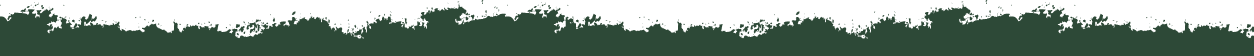 top border