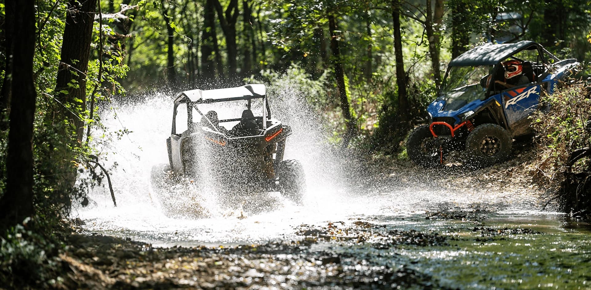 Guided Trail Rides