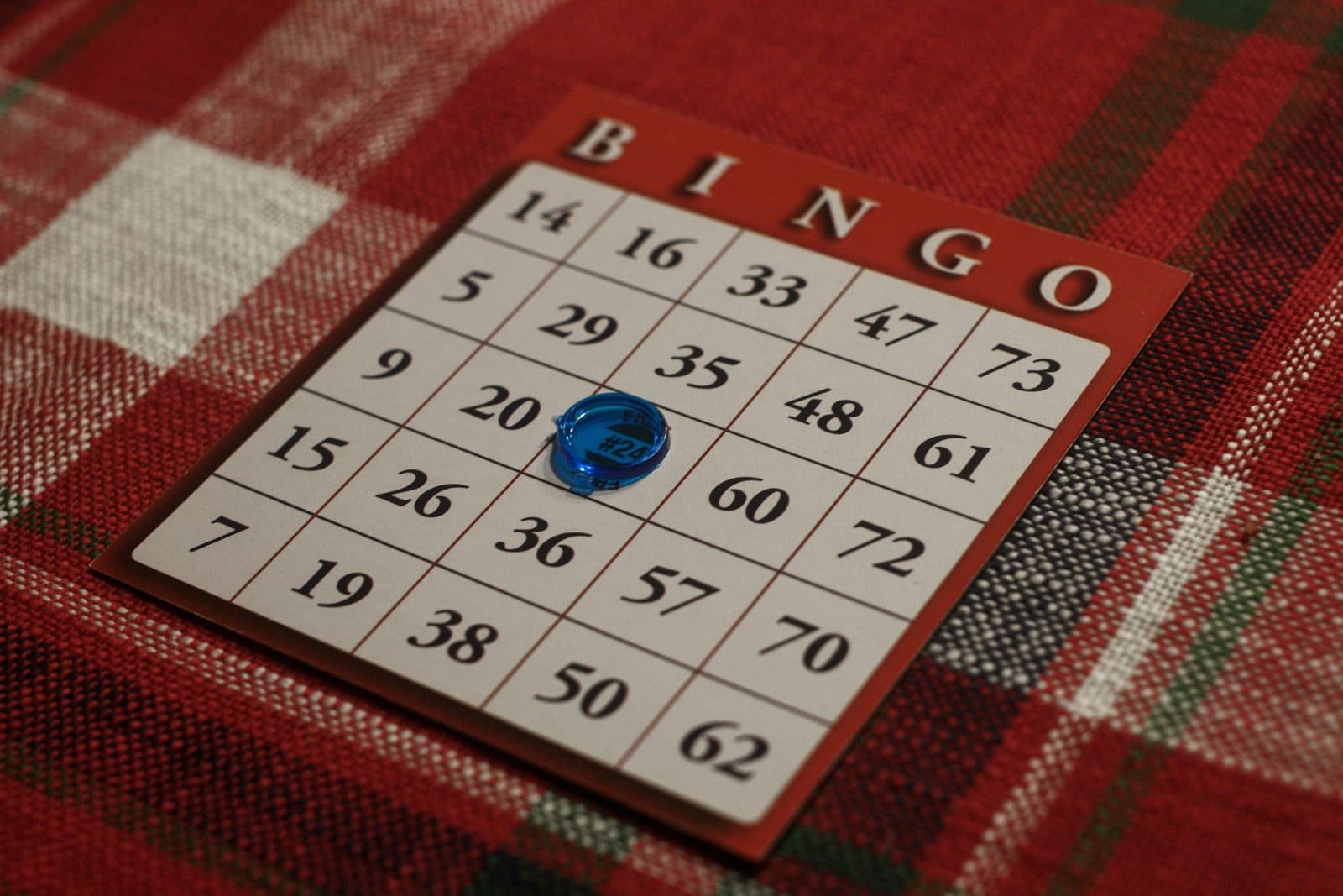 Bingo Night